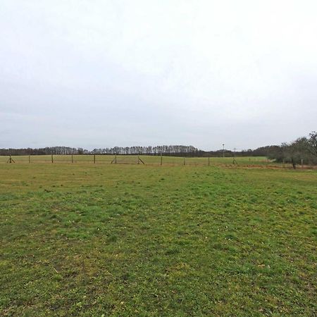 Ferienwohnungen Wredenhagen See 10860 エクステリア 写真